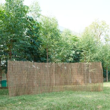 Recinzione Brielle in Rami Secchi Schermatura a Tappetino 500 x 200 cm Densità areale 0,9 kg / m² casa.pro